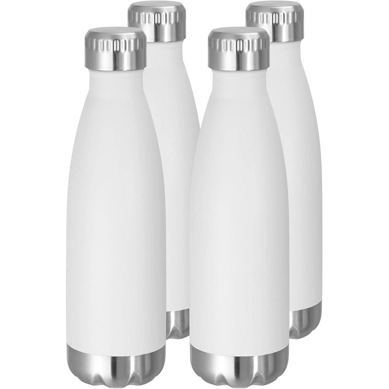 17oz Double Wall Stainless Steel Sport Water Bottle