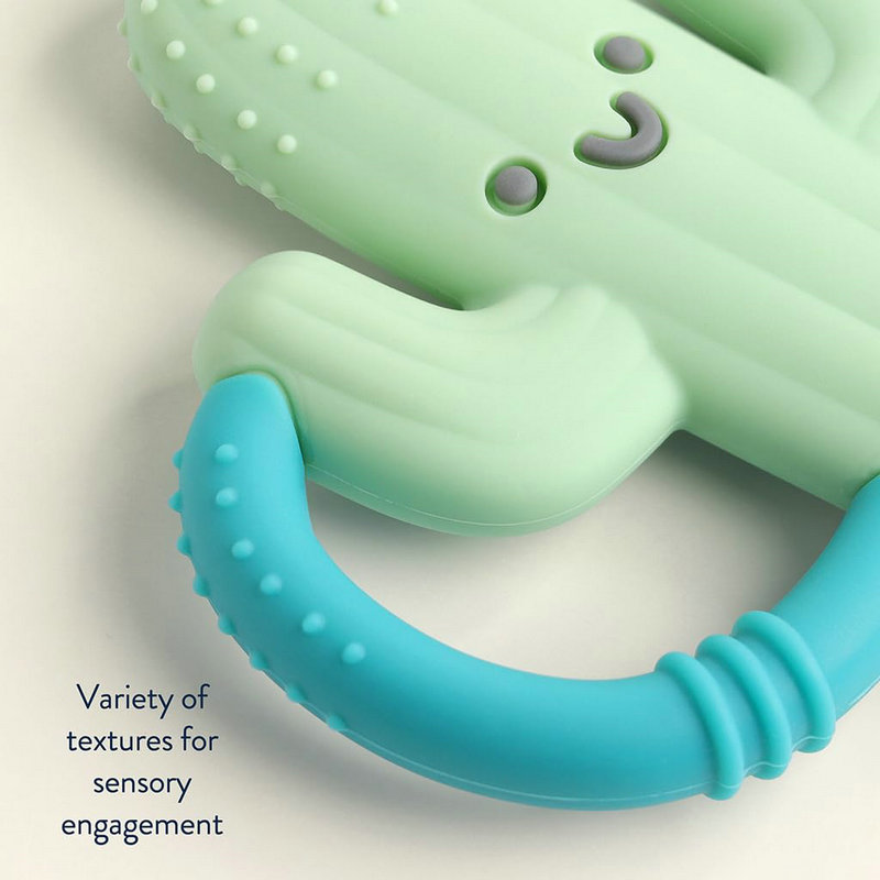 Cactus-Shaped Baby Teether with Handles (2).jpg