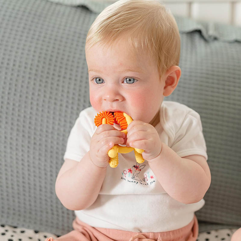 Silicone Geo Zoos Teether (5).jpg